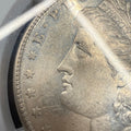 1878 8TF, NGC AU 55, HOT-50, VAM-14.5 SPIKED "A" AKA Open Nostril, Morgan Dollar
