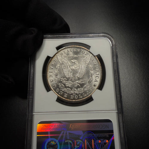 1881-CC, NGC MS 66, VAM-2 GOUGED "8", Morgan Dollar