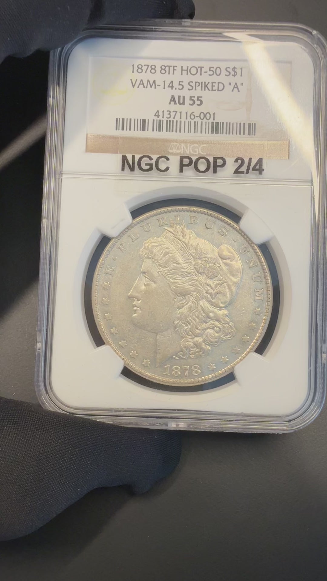 1878 8TF, NGC AU 55, HOT-50, VAM-14.5 SPIKED "A" AKA Open Nostril, Morgan Dollar